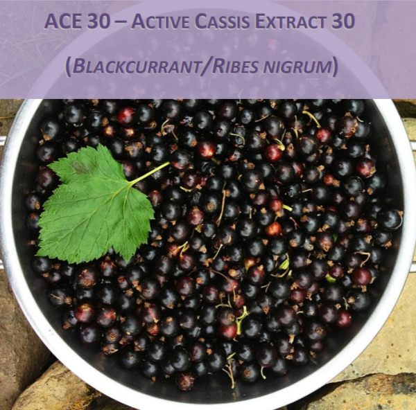 ACE 30 Active Cassis Extract 30